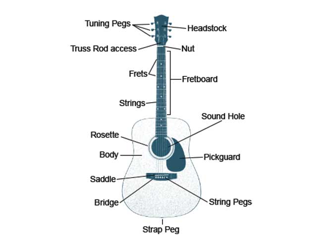 Acoustic Guitar Anatomy