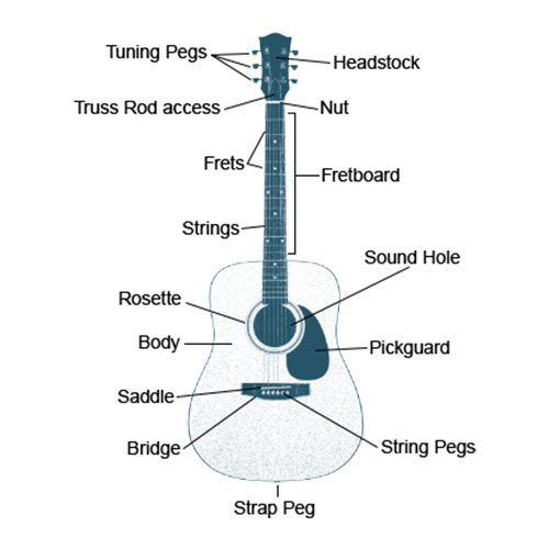 Chart Showing the Anatomy of an Acoustic Guitar