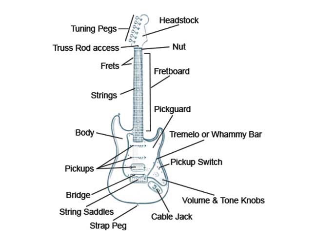 Electric Guitar Anatomy